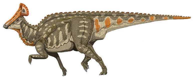Cool Hadrosaur