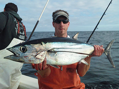 Pretty Albacore