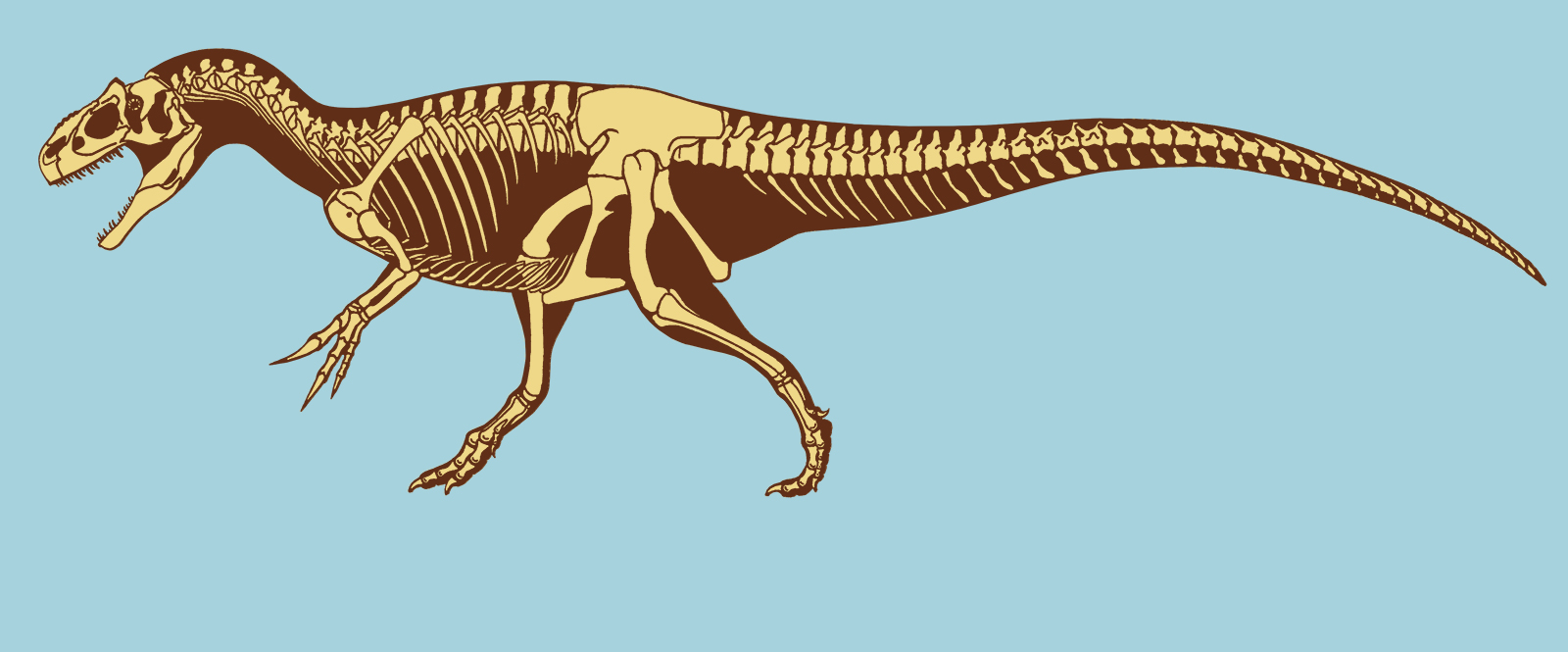 Nice Allosaurus