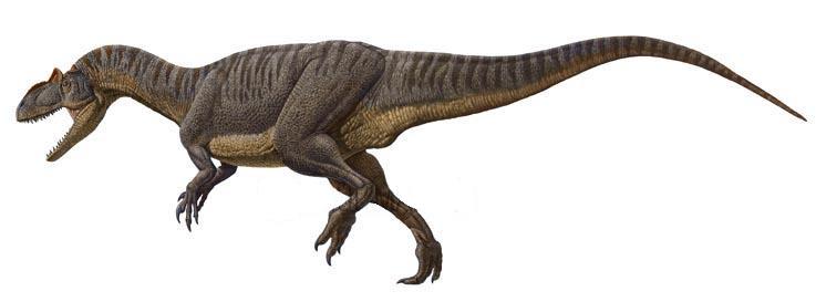 Photo Allosaurus