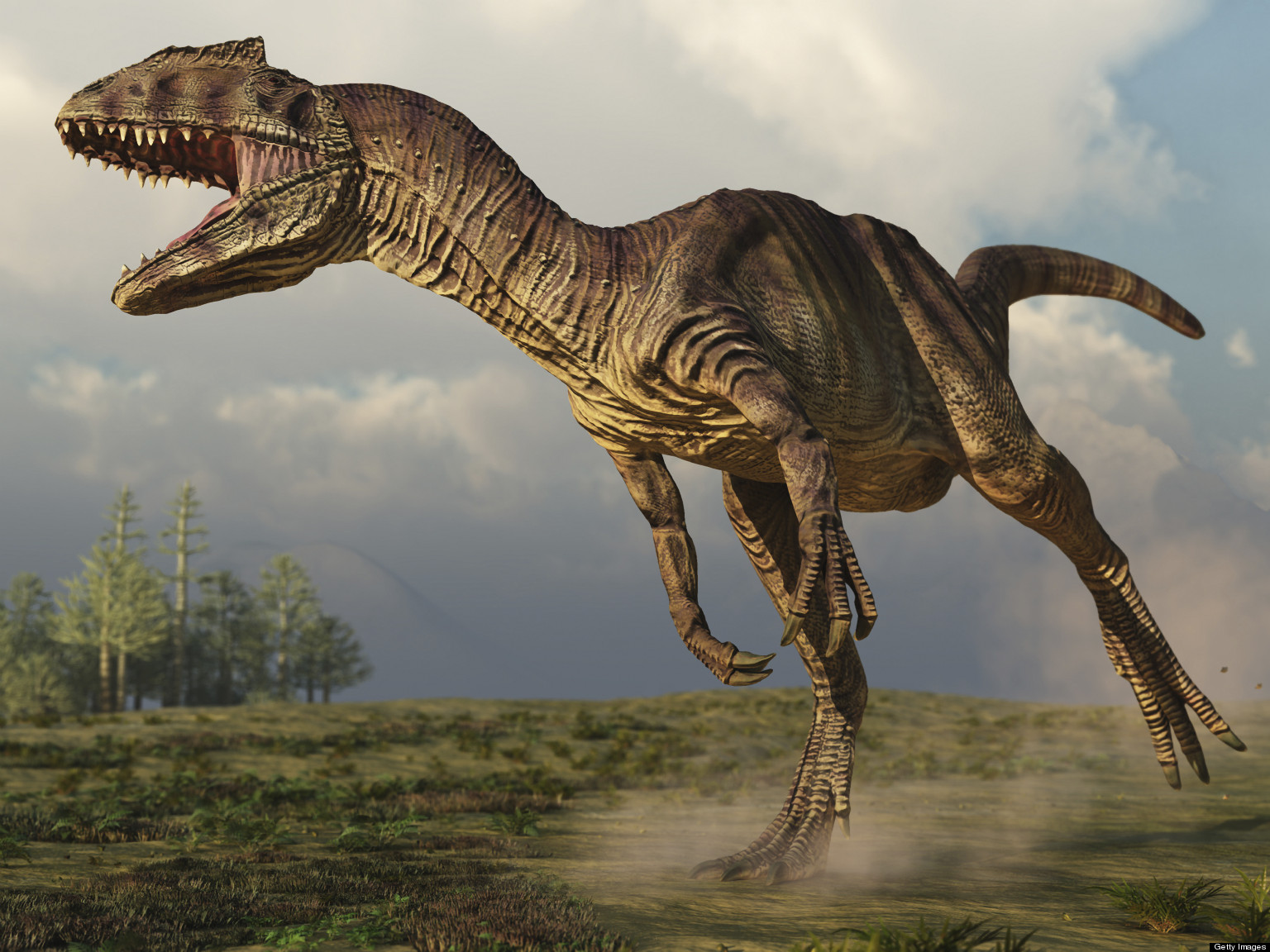 Allosaurus photo 