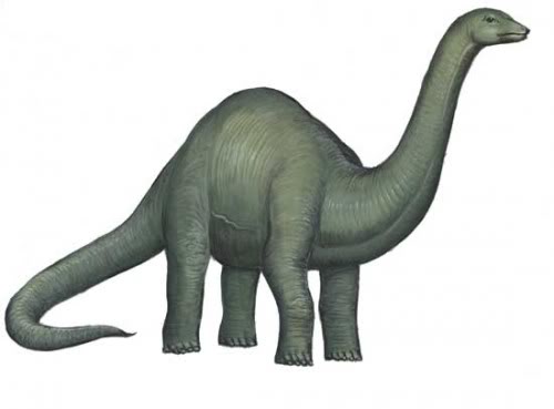 Cute Apatosaurus