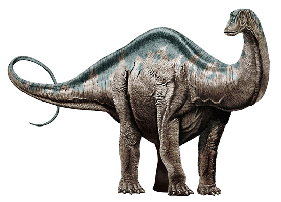 Photo Apatosaurus
