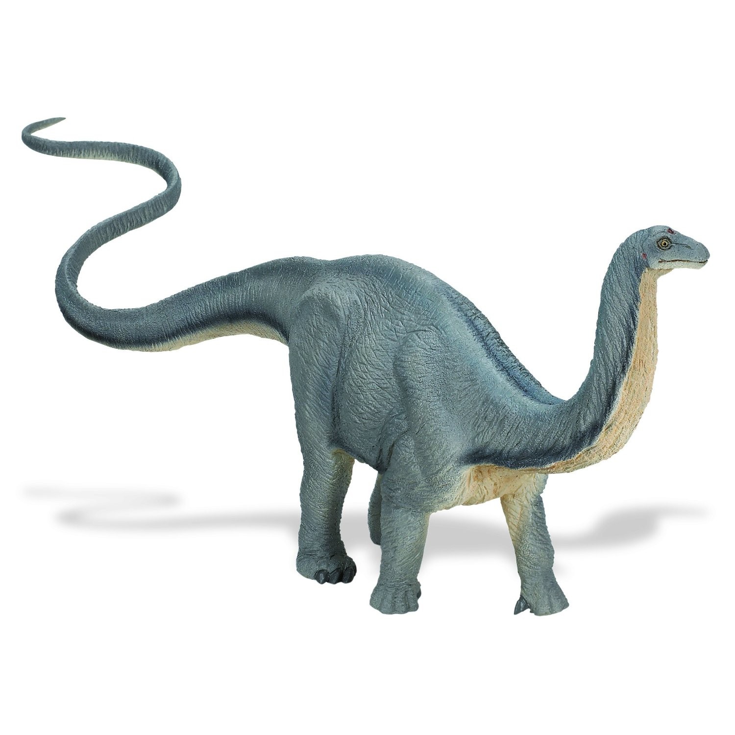 Apatosaurus photo 