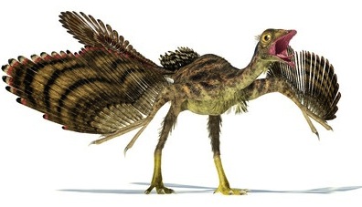 Wallpaper Archaeopteryx