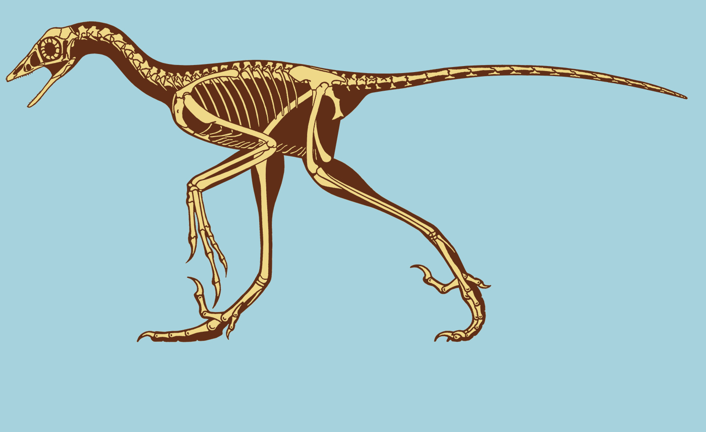 Cute Archaeopteryx