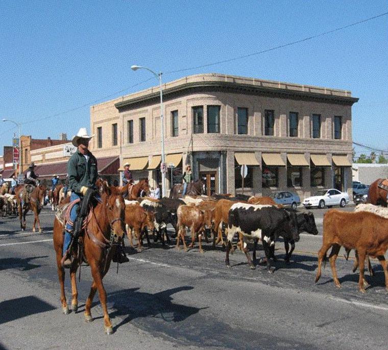 Chowchilla