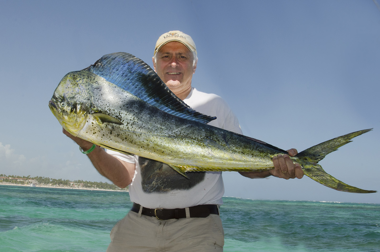 Pretty Common dolphinfish