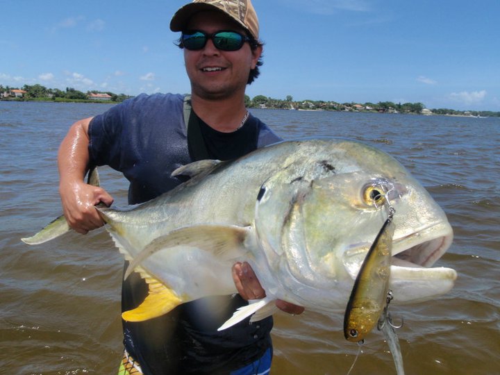 Pretty Crevalle jack