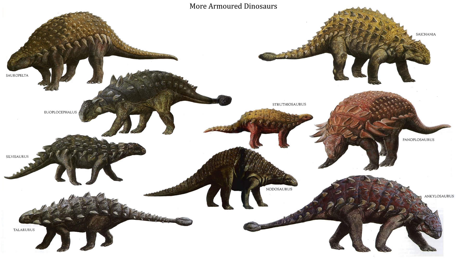 Nice Dinosaurs