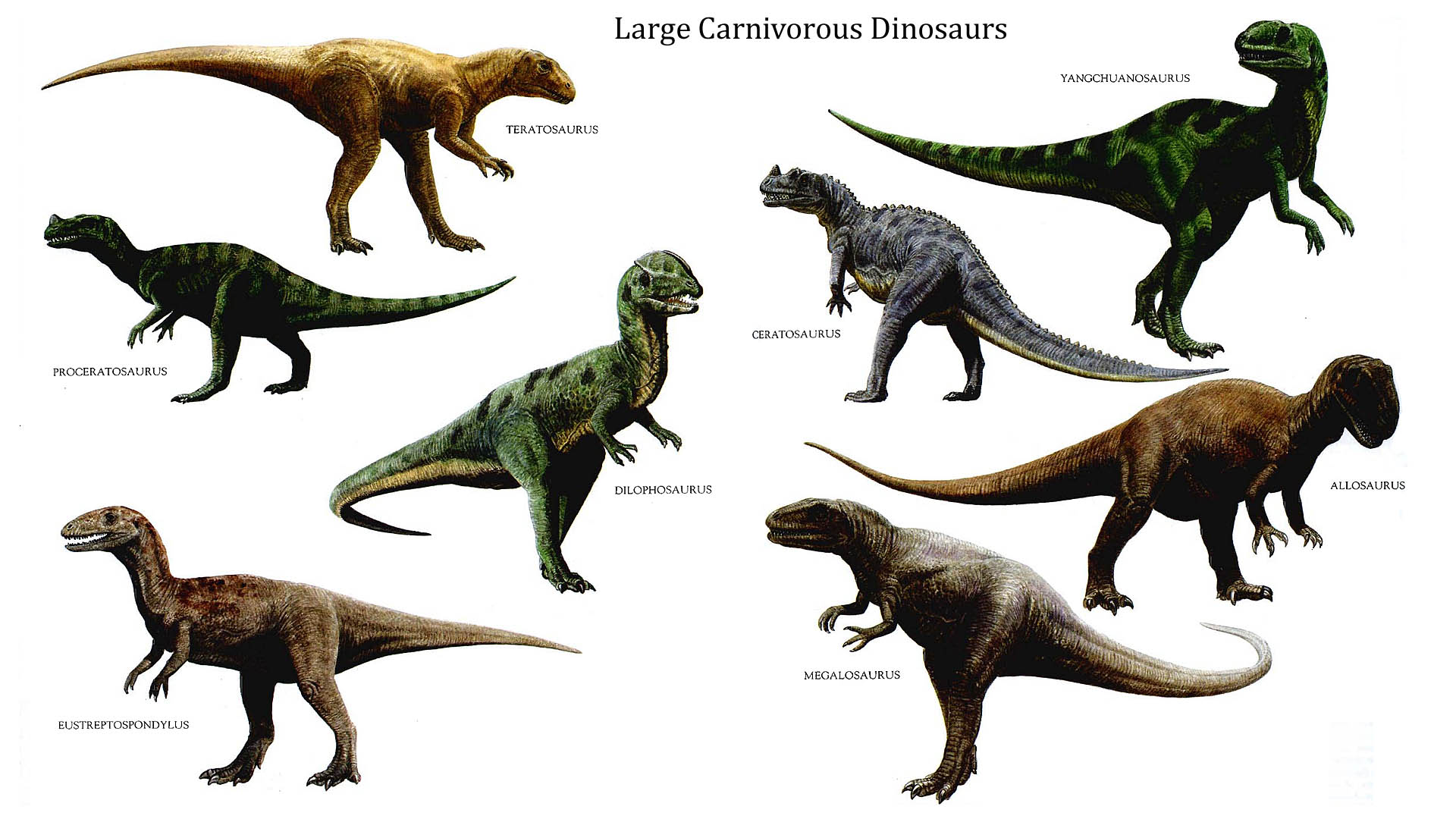 Pretty Dinosaurs