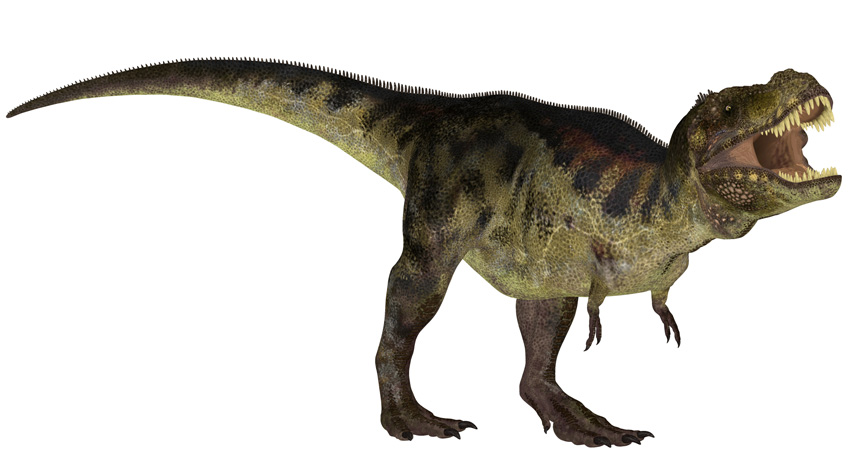Cute Dinosaurs