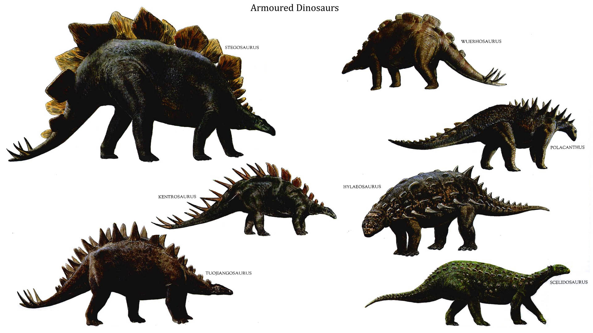 Dinosaurs 