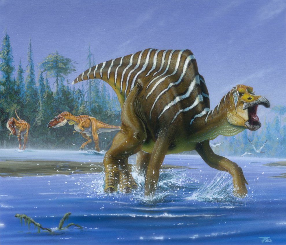 Nice Hadrosaur