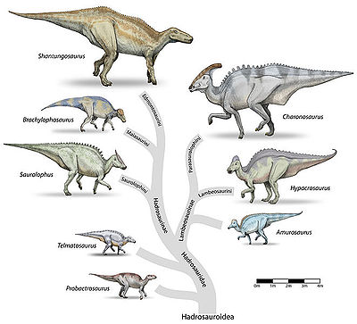 Pretty Hadrosaur