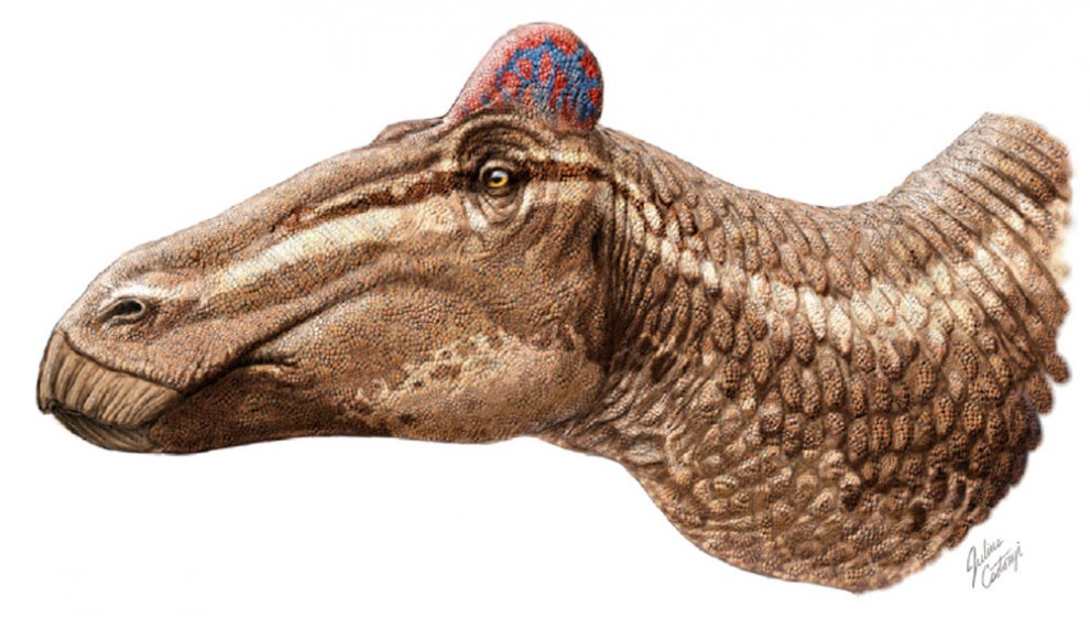 Wallpaper Hadrosaur