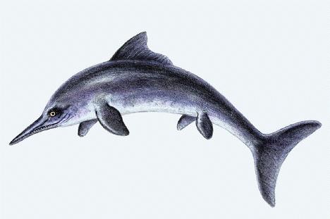 Ichthyosaur