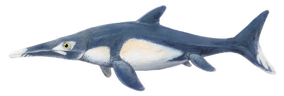 Nice Ichthyosaur
