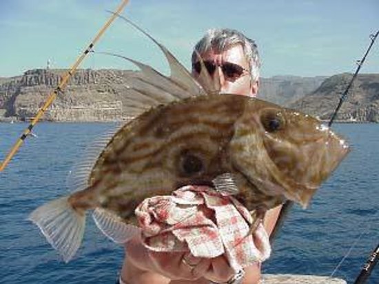 Pretty John dory
