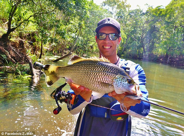 Pretty Jungle perch