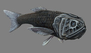 Longjaw bigscale