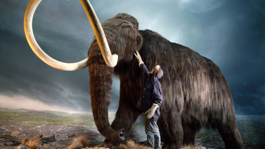 Cool Mammoth