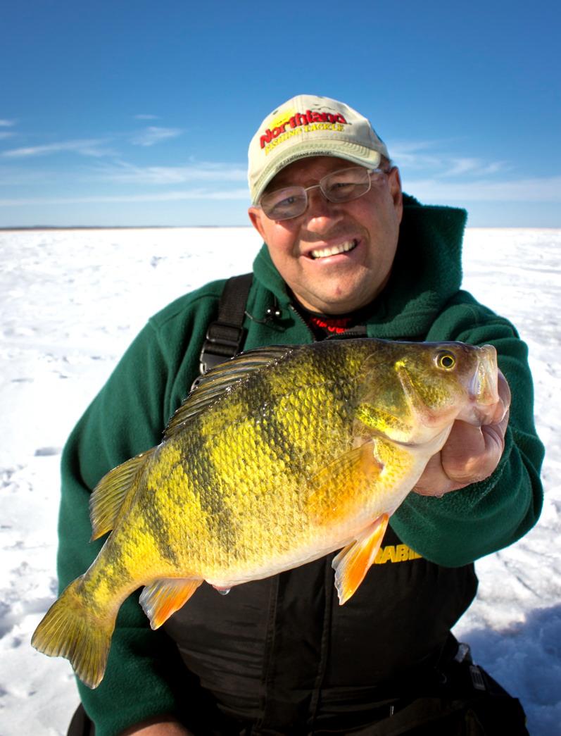 Mountain perch fish