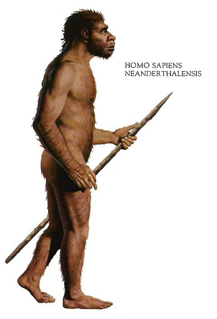 Neanderthal- Photo#07