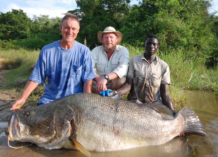 Pretty Nile perch