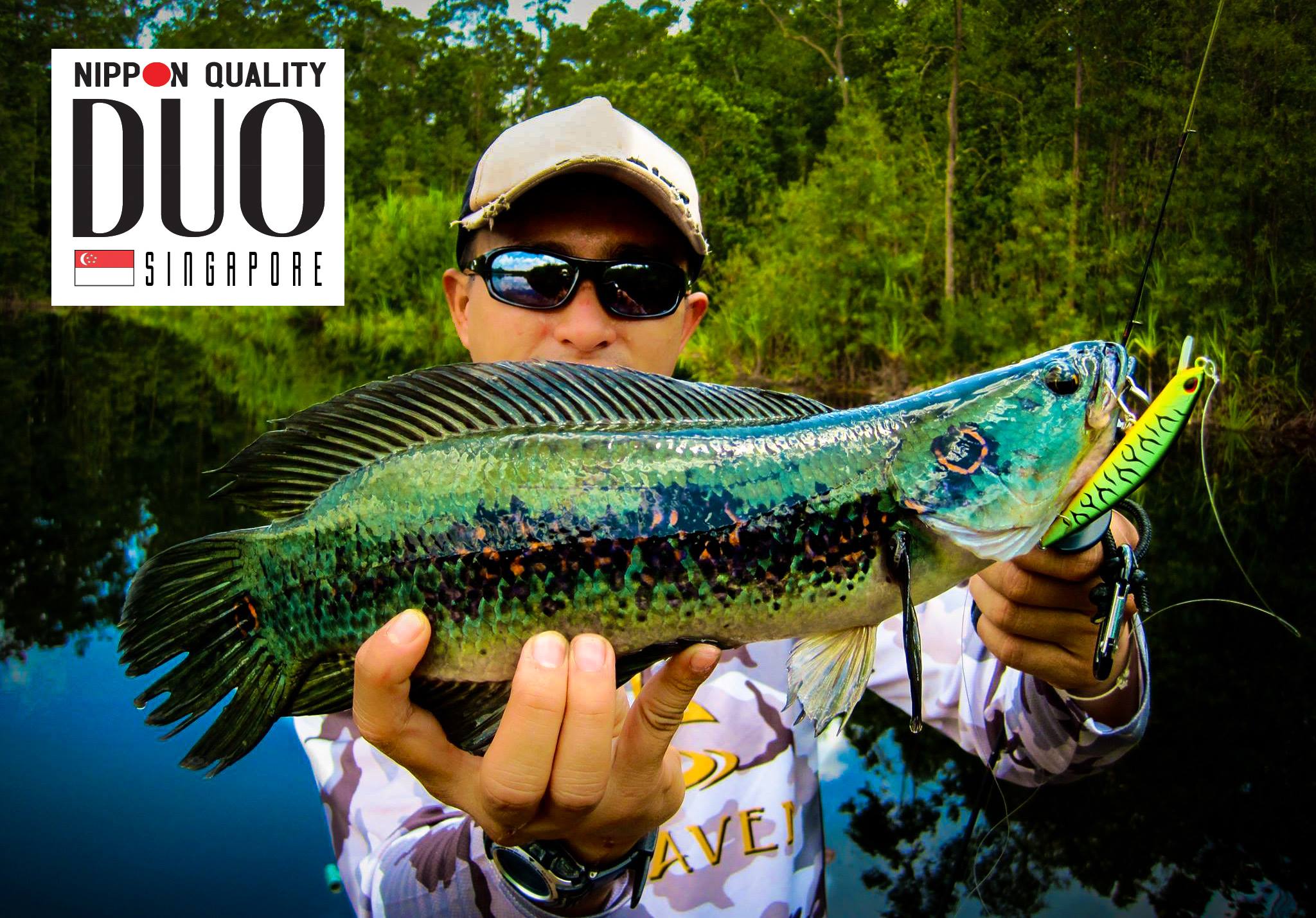 Ocellated snakehead