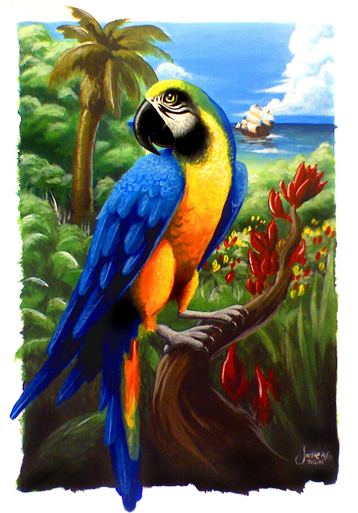 Pretty Painted parrot