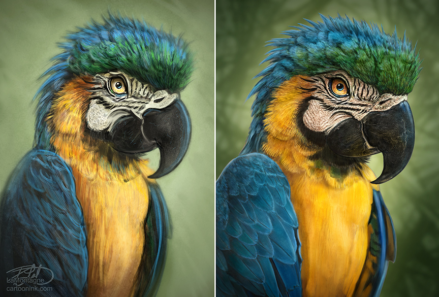 Pretty Painted parrot