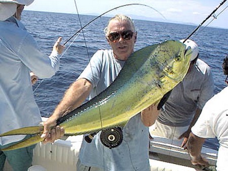 Pompano dolphinfish