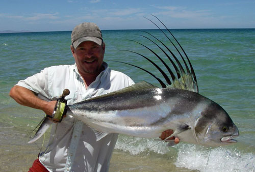 Roosterfish