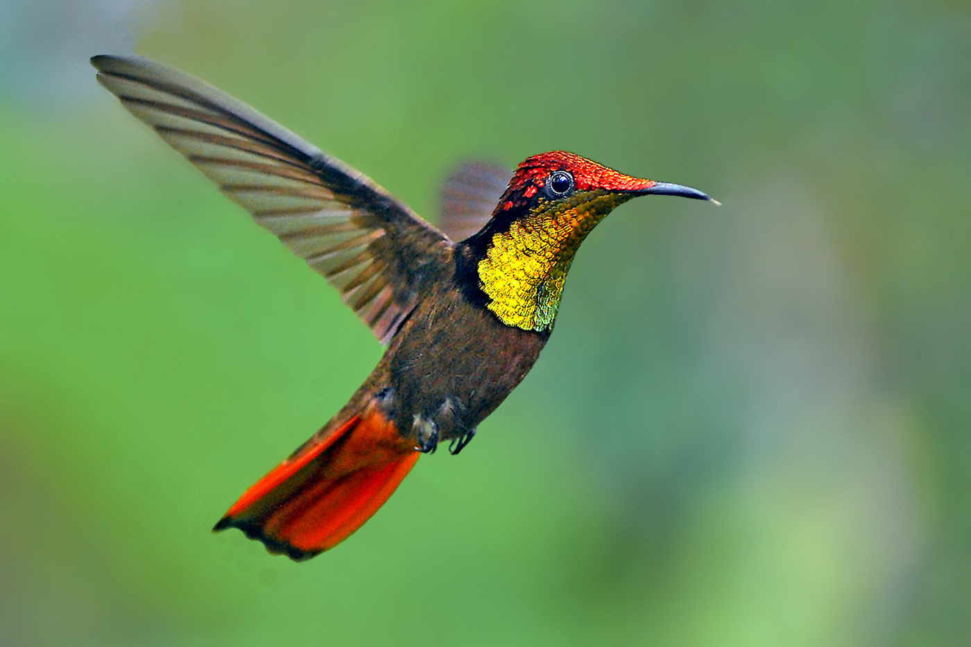 Ruby topaz