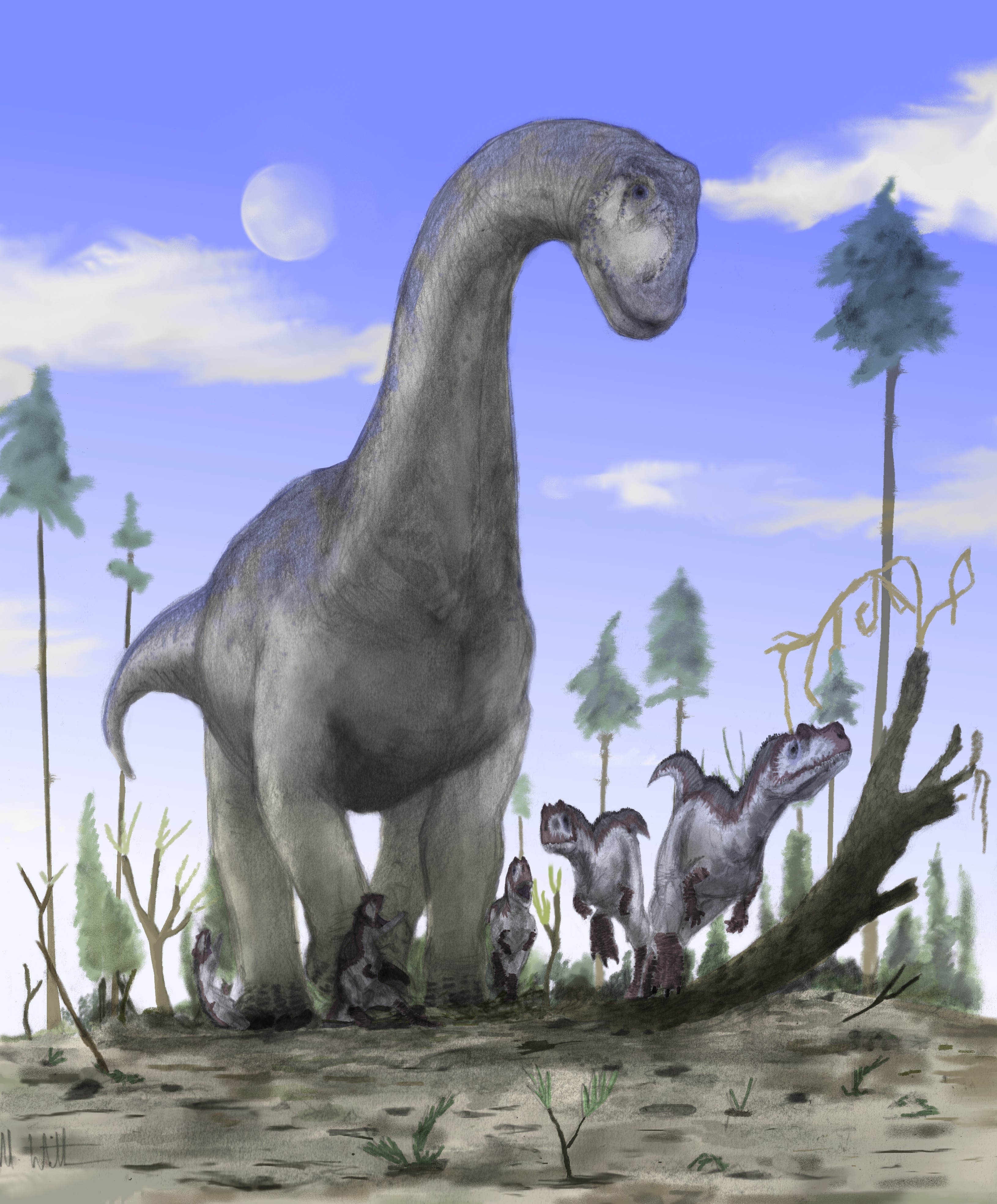 Sauropod