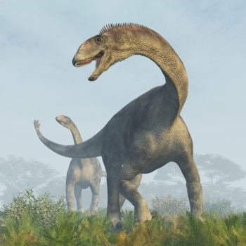 Pretty Sauropod