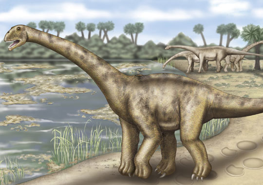 Cute Sauropod