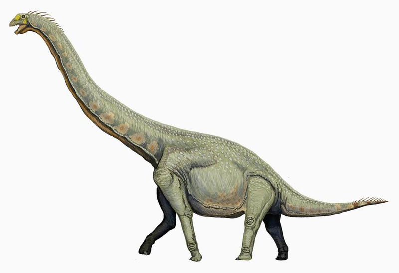 Wallpaper Sauropod