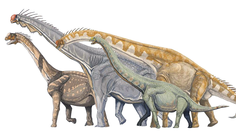 Sauropod wallpaper