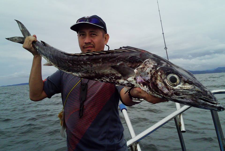 Pretty Snake mackerel