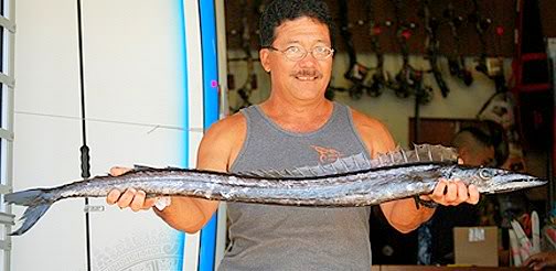 Pretty Snake mackerel