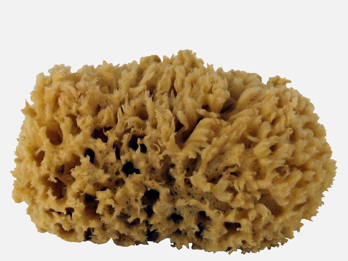 Photo Sponge