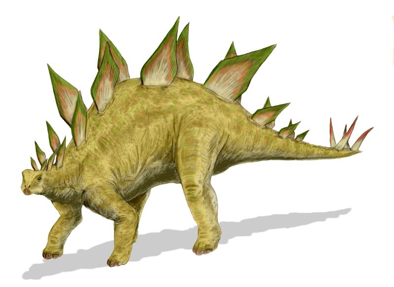 Photo Stegosaurus