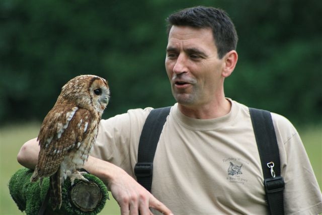 Pretty Tawny owl
