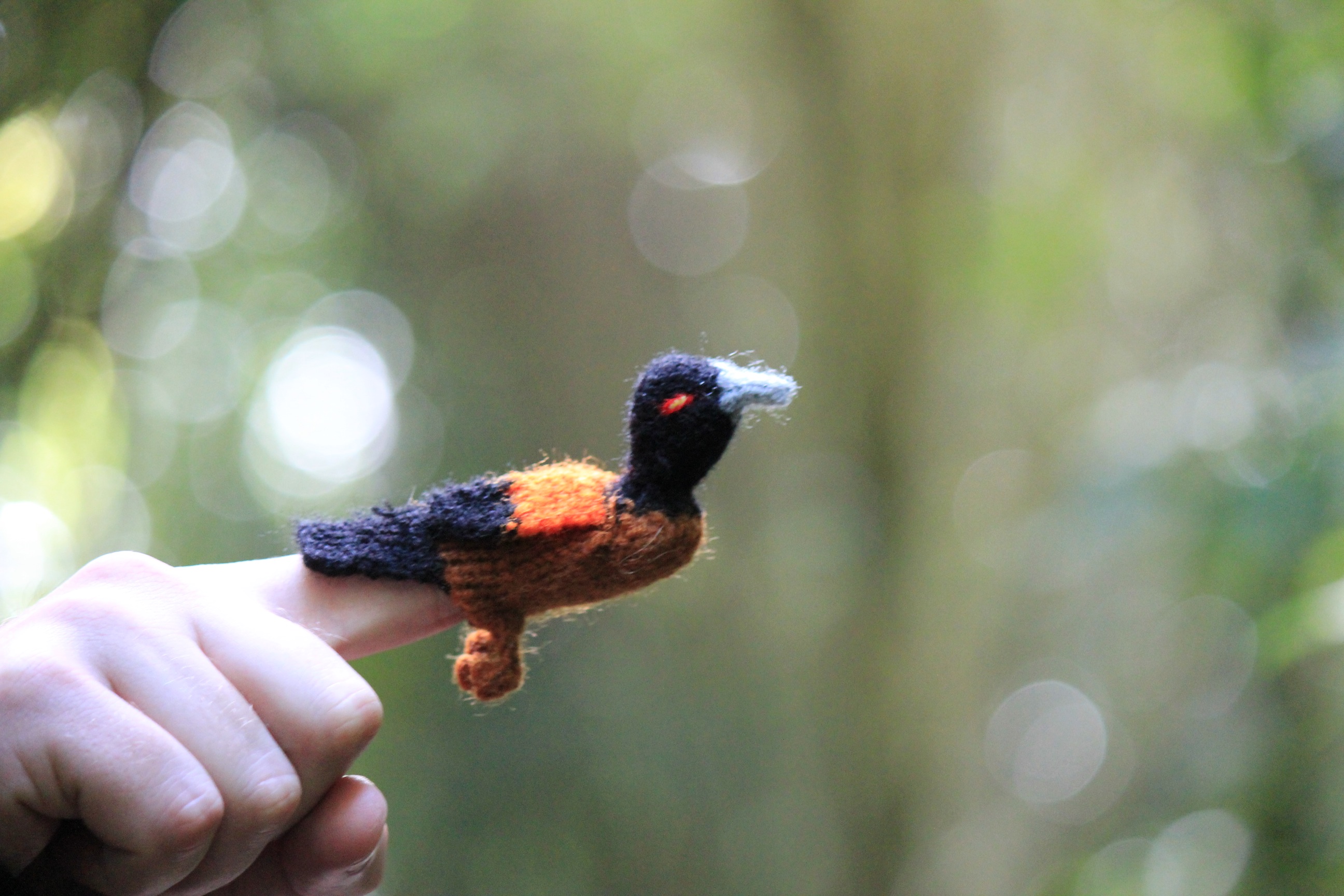 Tieke