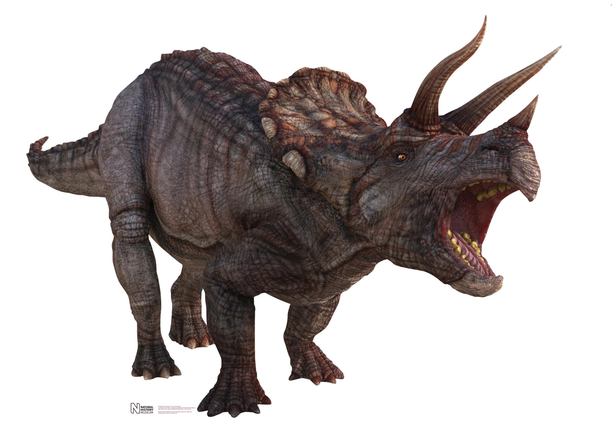 Cool Triceratops