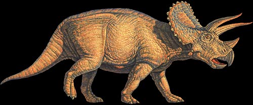 Wallpaper Triceratops
