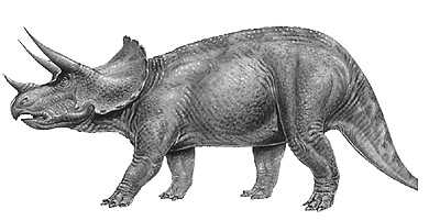 Photo Triceratops