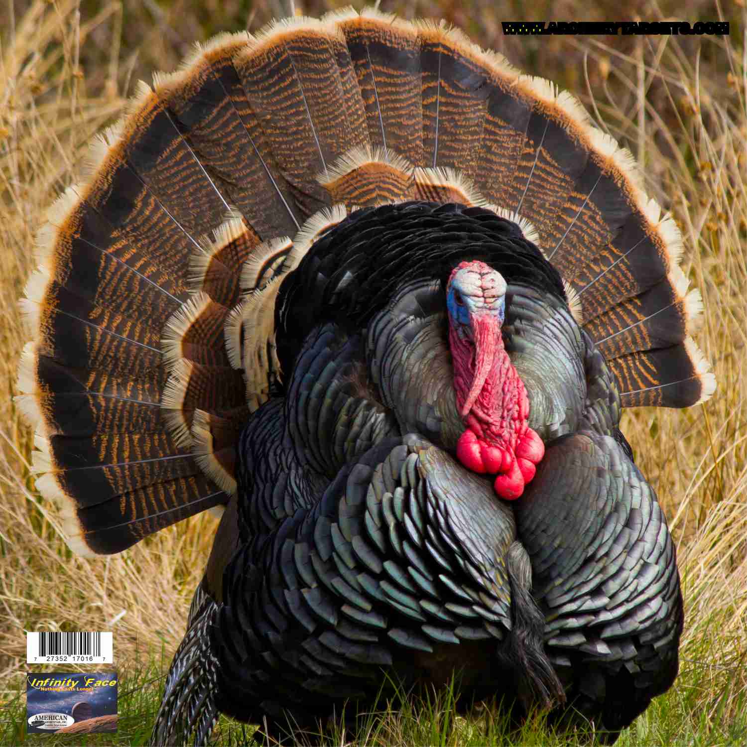 Photo Turkey